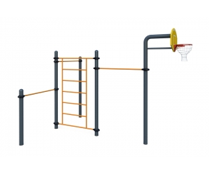 W-06-003 Турники с баскебольной стойкой шведской стенкой
